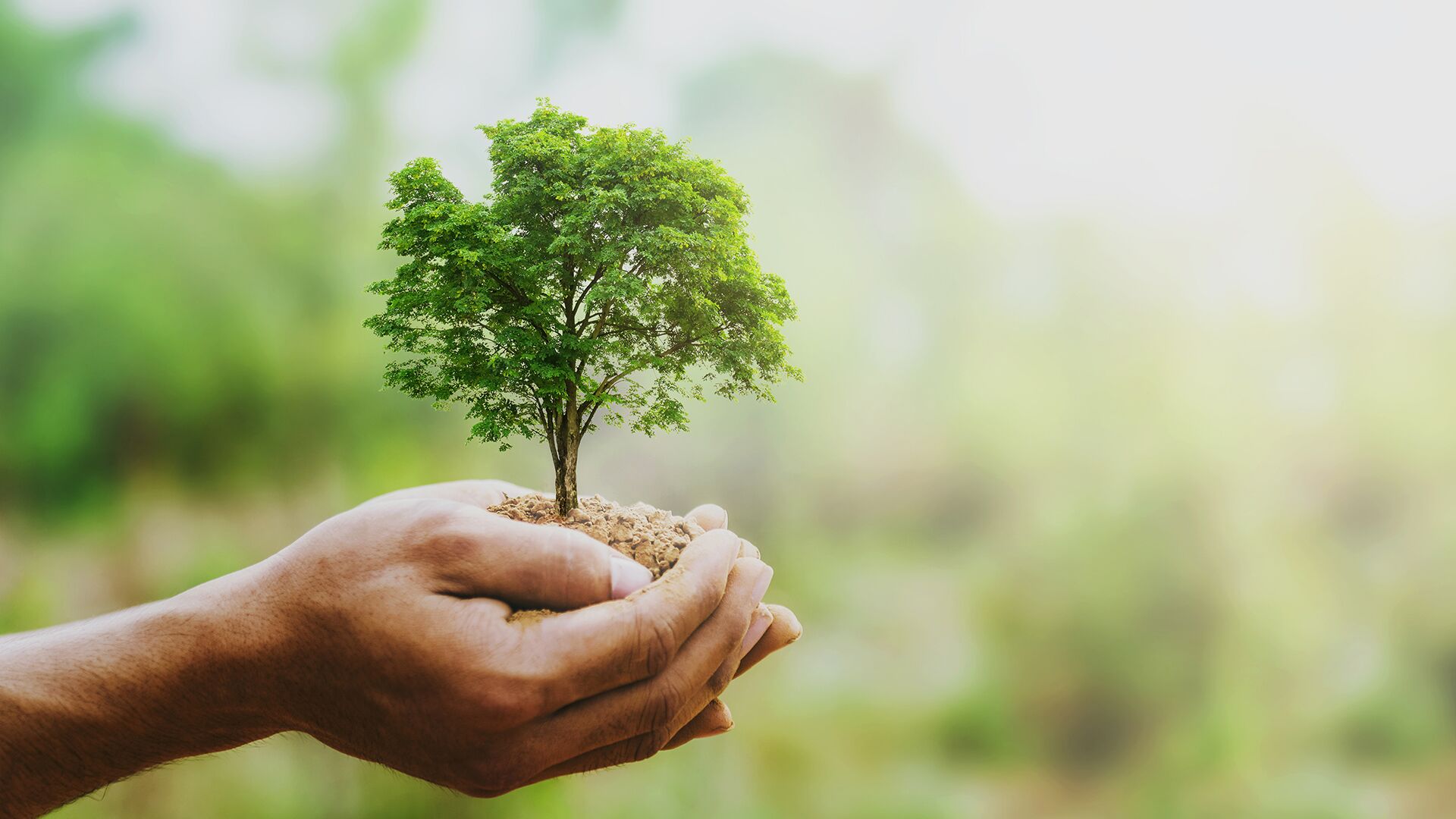 Verantwortung LUKA GmbH